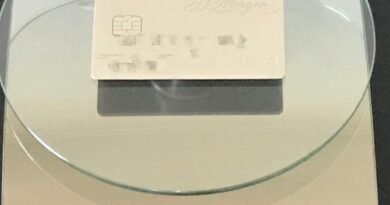 The Heaviest Credit Cards List (2026.2 Update: Bilt Palladium 21g)