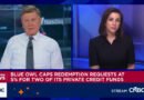 Blue Owl caps private credit funds redemptions at 5% after steep request levels