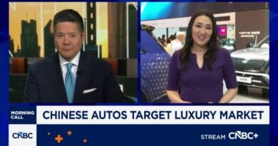 Foreign car companies bet on technology to hang onto once-lucrative China auto market