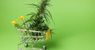 Cannabis Market Transition: A 4/20 Reality Check for Investors