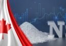 Top 5 Canadian Nickel Stocks in 2026