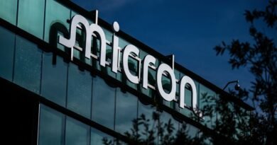 Which company will the U.S. government take a stake in next?