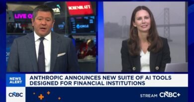 Anthropic CEO warns of cyber ‘moment of danger’ as AI exposes thousands of vulnerabilities