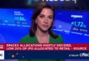 SpaceX cuts retail IPO allocation to low 20% range, source says