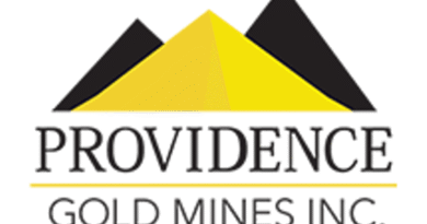 La Dama de Oro Discovery Vein Assays 7.5 grams over .45 metre